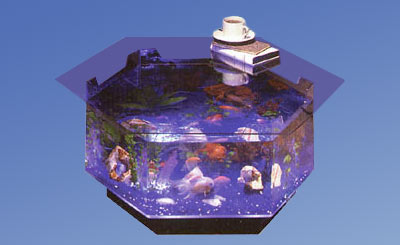 Aquarium Coffee Tables Free Shipping
